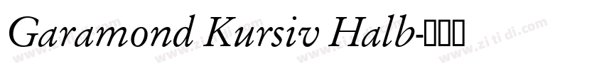 Garamond Kursiv Halb字体转换